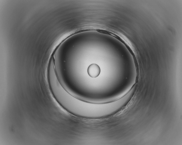 X0000112481293200908241246
