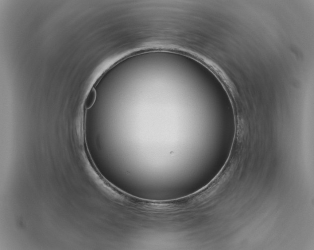 X0000112481295200908241246
