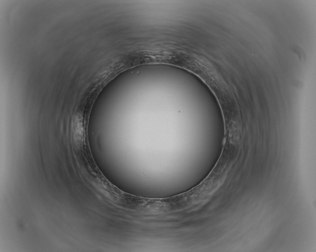X0000112481298200908241245