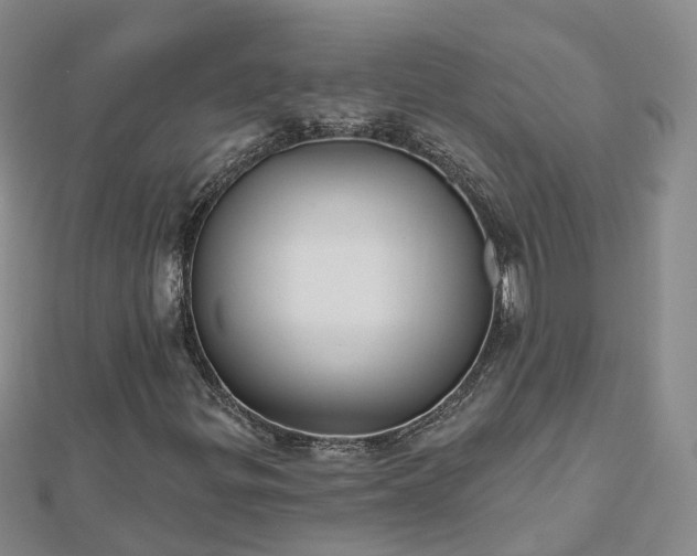 X0000112481299200908241245