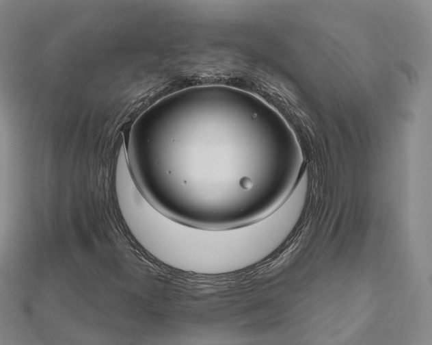 X0000112481300200908241245