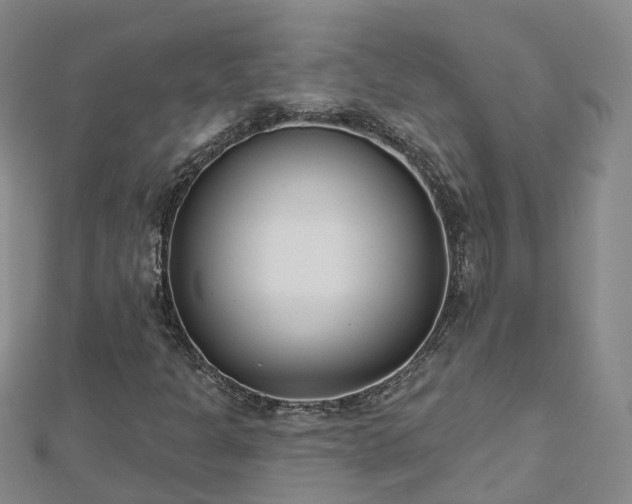 X0000112481301200908241245