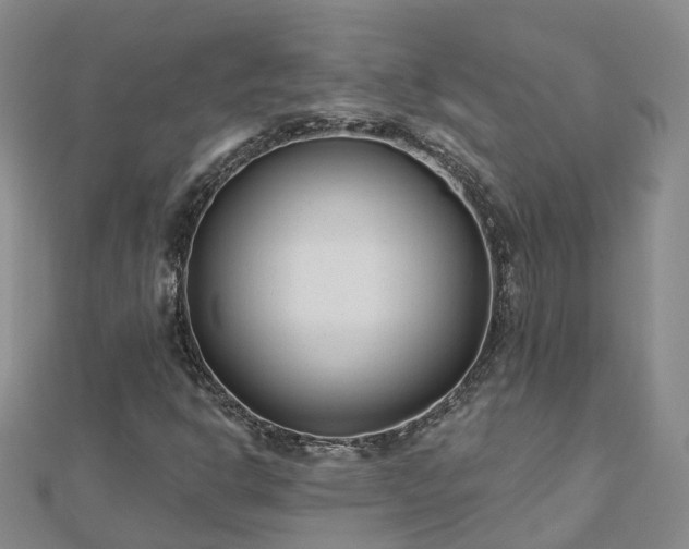 X0000112481302200908241245