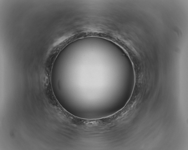 X0000112481303200908241245