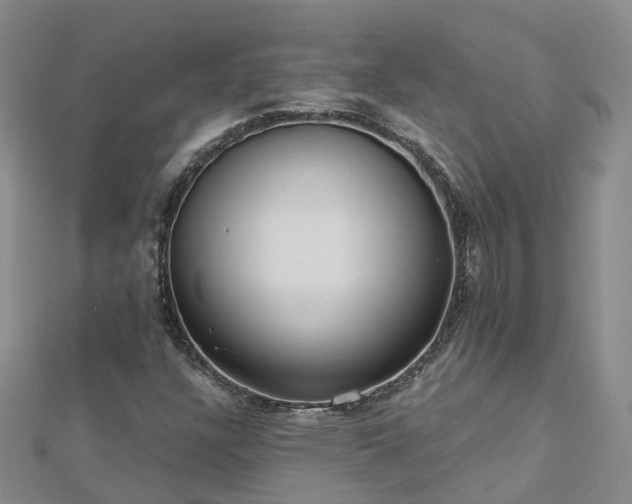 X0000112481304200908241245