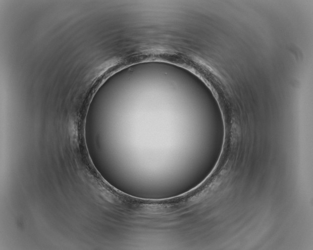 X0000112481305200908241245