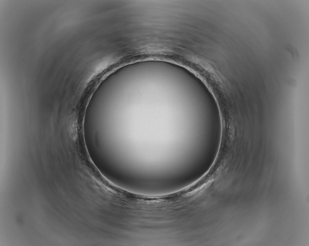 X0000112481306200908241245