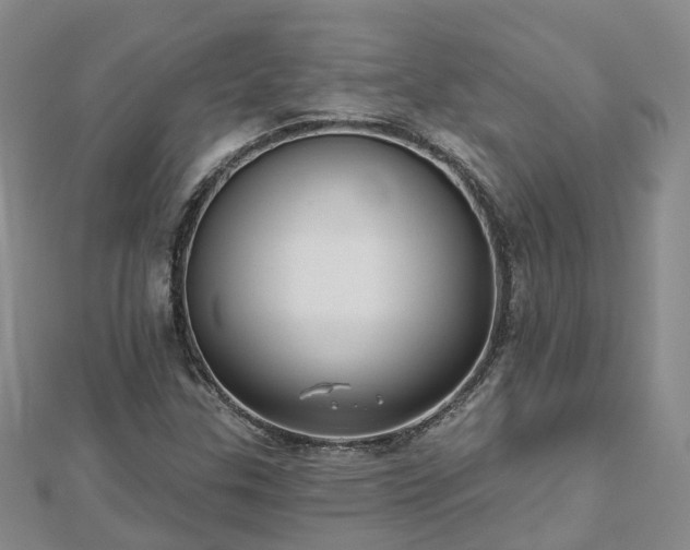 X0000112481307200908241245