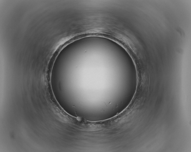 X0000112481308200908241245