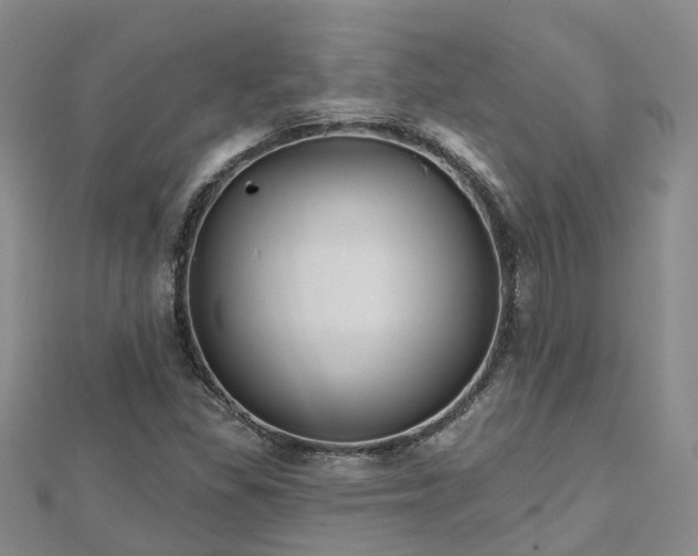 X0000112481309200908241245