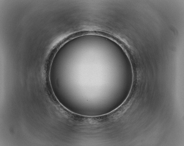 X0000112481311200908241246