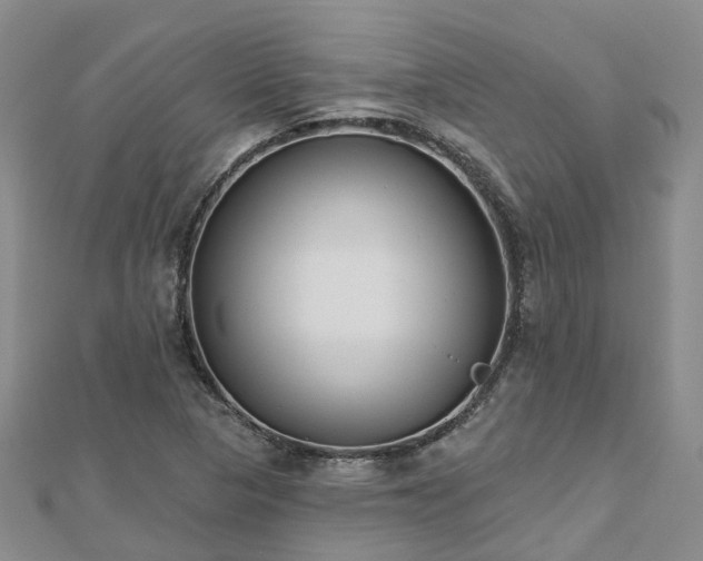 X0000112481313200908241246