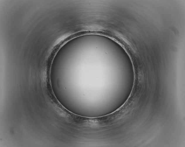 X0000112481315200908241246