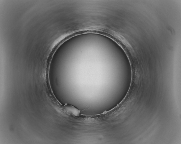 X0000112481316200908241246