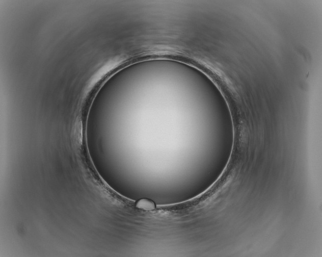 X0000112481317200908241246