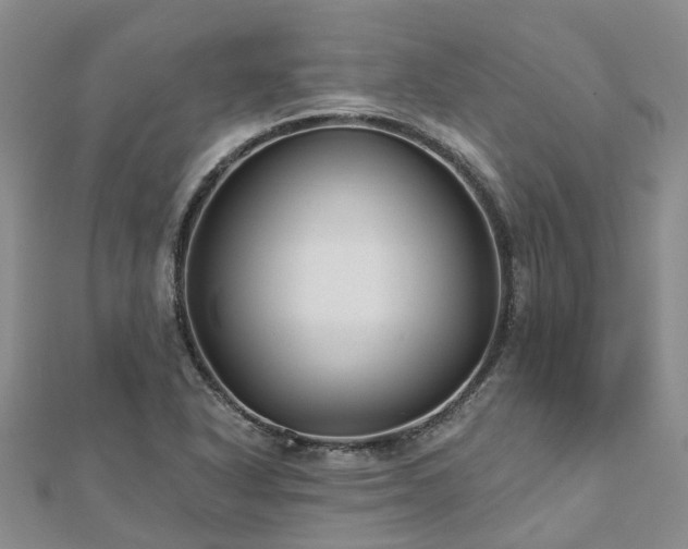 X0000112481318200908241246