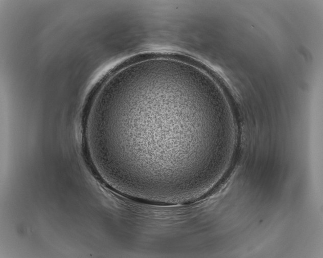 X0000112481319200908241246