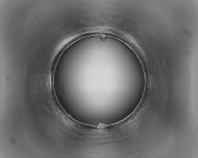 X0000112481320200908241246