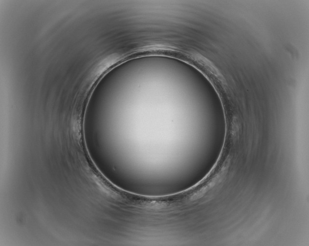 X0000112481321200908241246