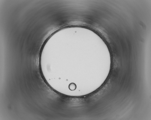 X0000112481322200908241246