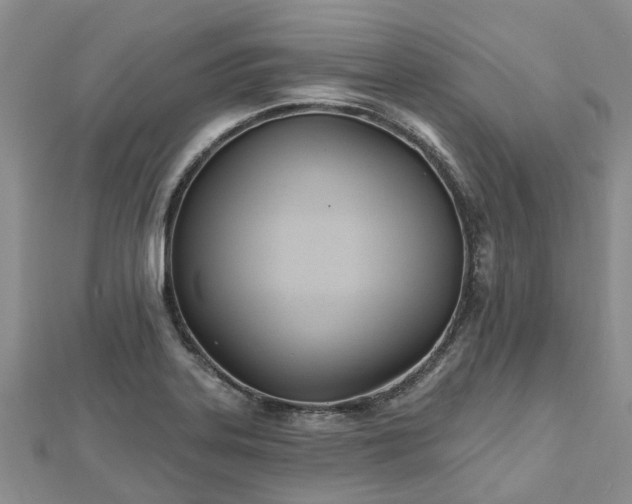 X0000112481323200908241246