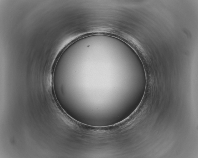 X0000112481324200908241246
