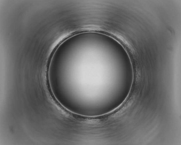 X0000112481325200908241246