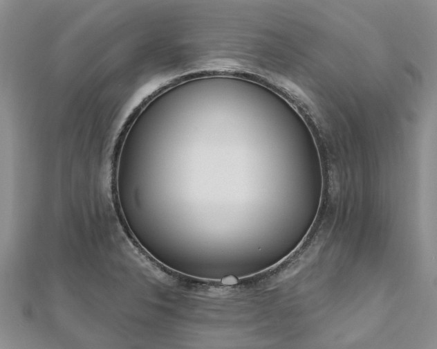 X0000112481326200908241246
