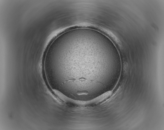 X0000112481327200908241246