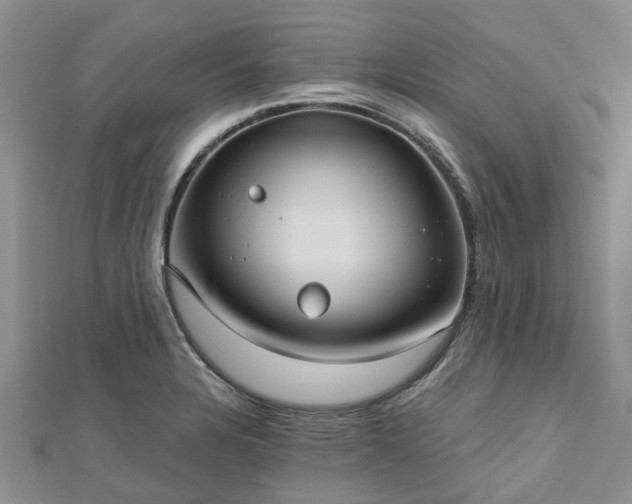 X0000112481328200908241246