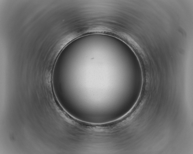 X0000112481329200908241246