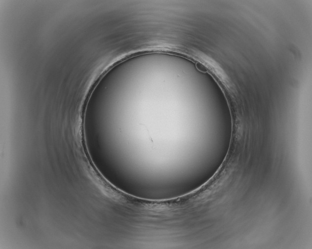 X0000112481332200908241246