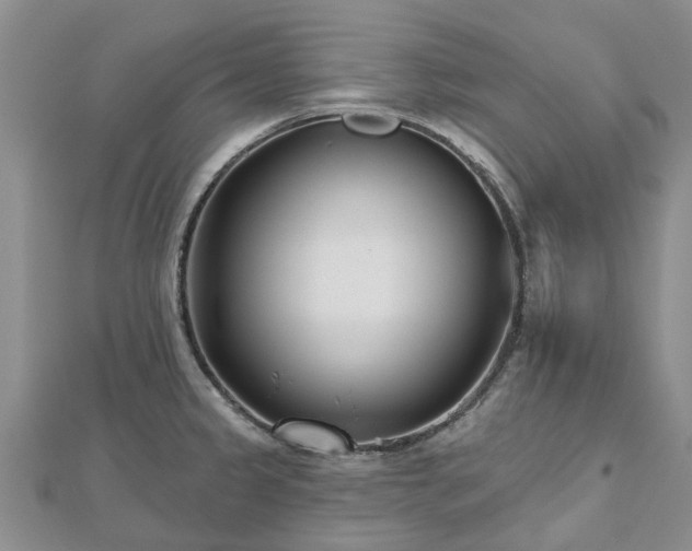 X0000112481333200908241246