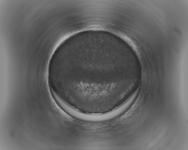 X0000112481334200908241246