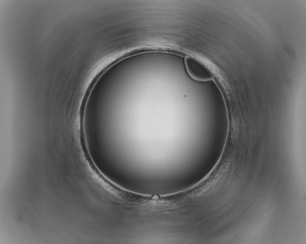 X0000112481335200908241246