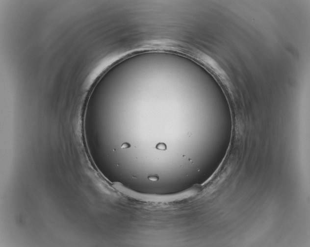 X0000112481336200908241246
