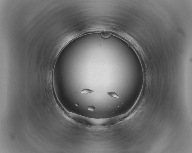 X0000112481337200908241246