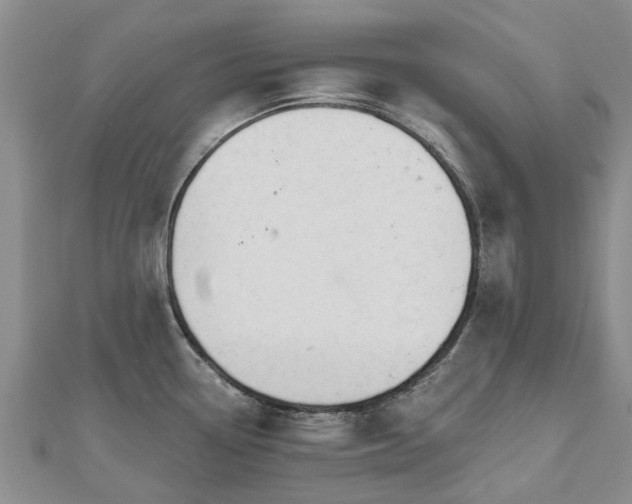X0000112481338200908241246