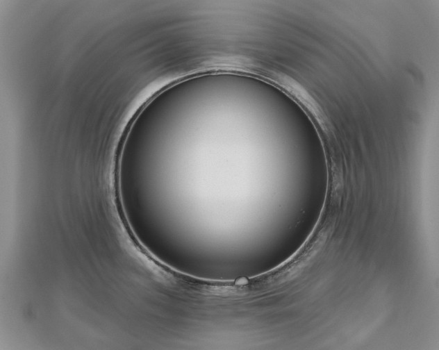 X0000112481339200908241246