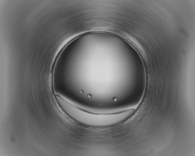 X0000112481340200908241246