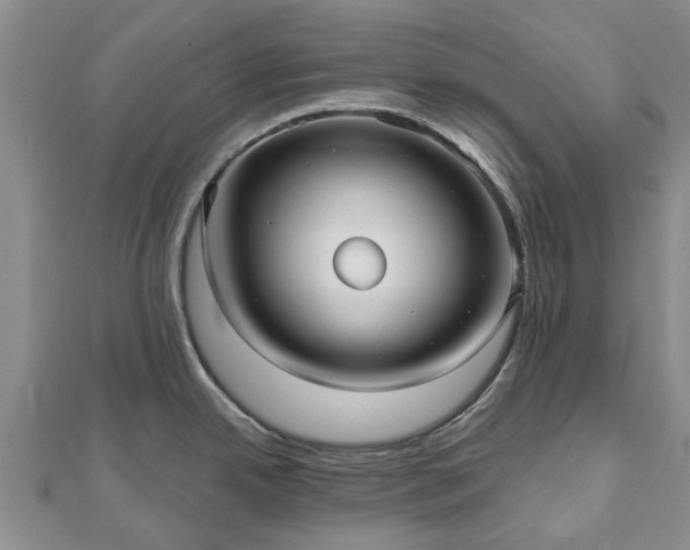 X0000112481342200908241246