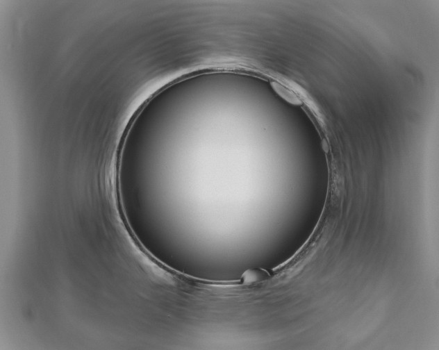 X0000112481343200908241246