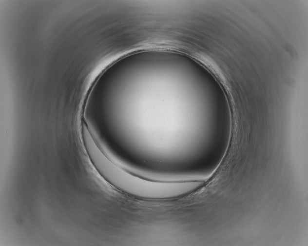 X0000112481344200908241246