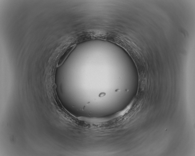X0000112481345200908241245