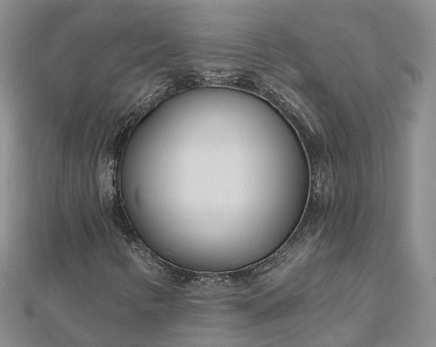 X0000112481346200908241245