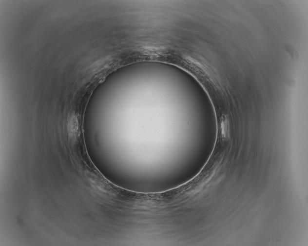 X0000112481347200908241245
