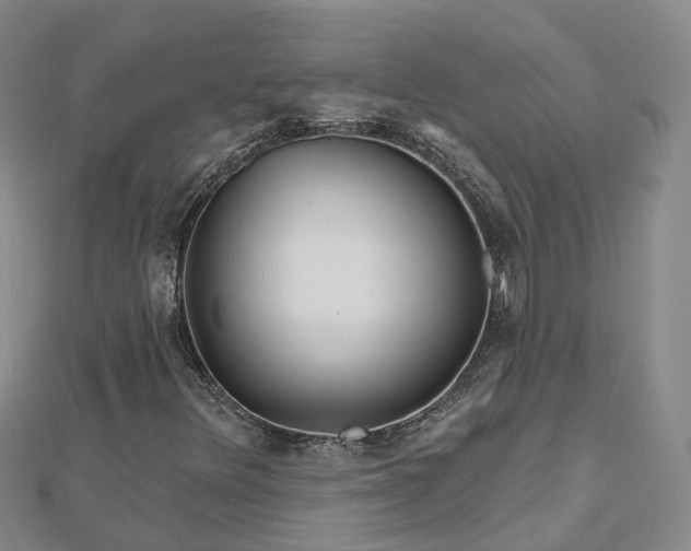 X0000112481348200908241245