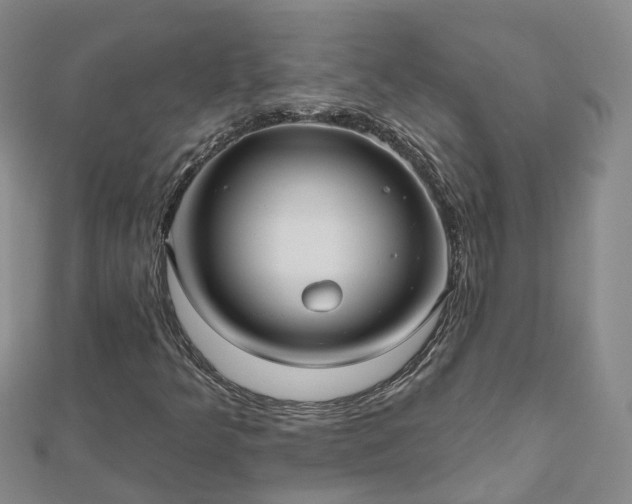 X0000112481349200908241245