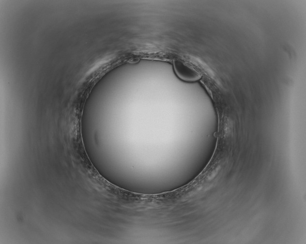 X0000112481350200908241245