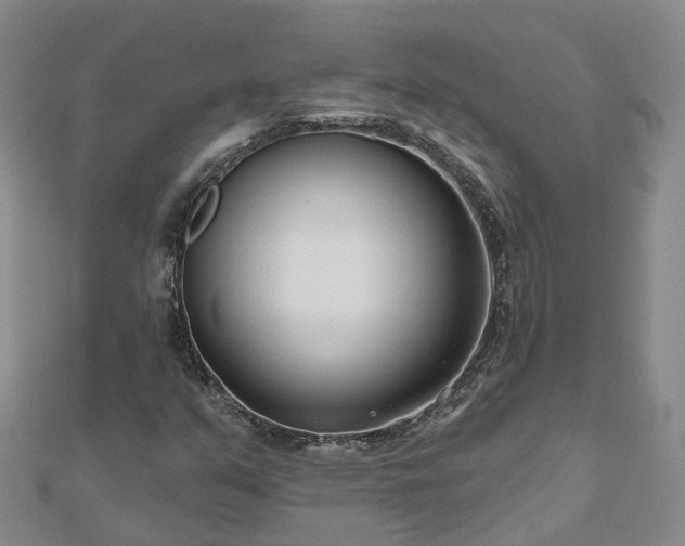 X0000112481351200908241245
